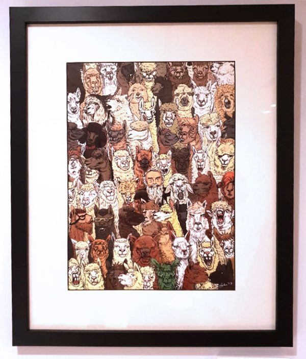 Saltaire alpaca illustration framed