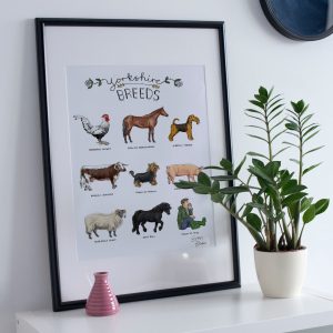 Yorkshire breeds illustration framed