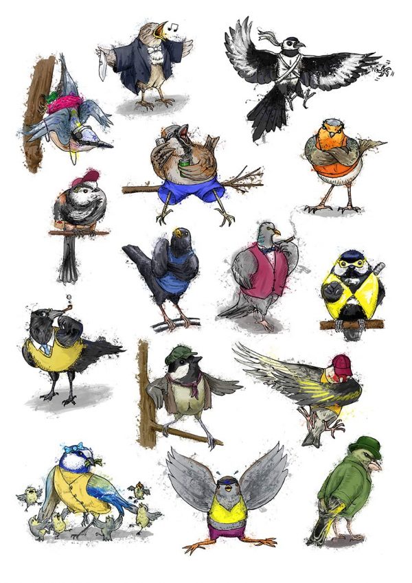 British garden birds collection