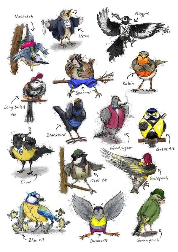 British garden birds illustration