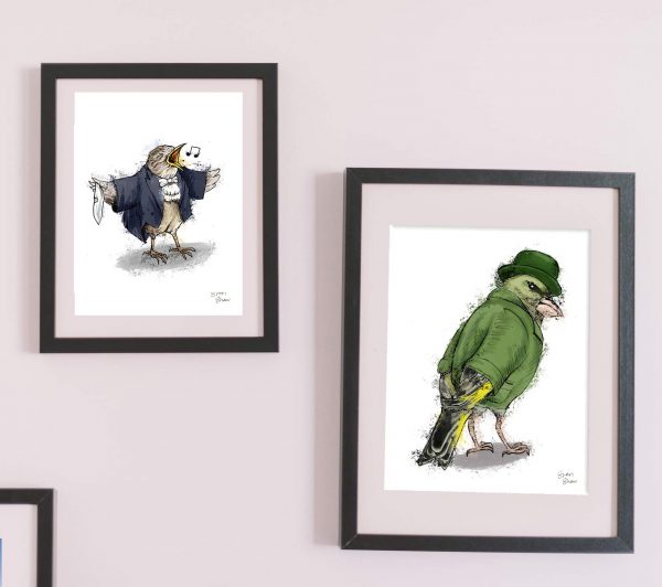 british garden birds framed