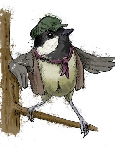British birds - coal tit