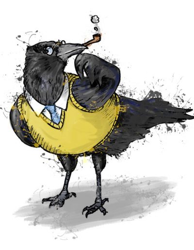 British birds - crow