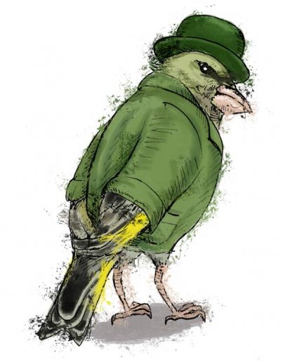 British birds - greenfinch