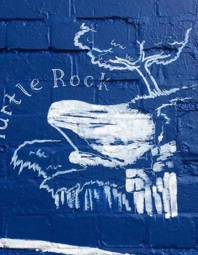 3 Rise Locks mural image - Turtle Rock