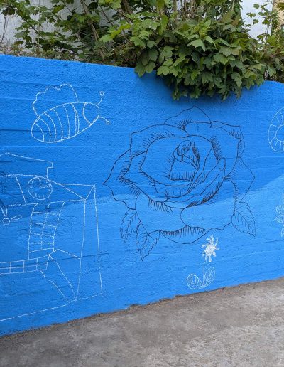 Britannia Gardens mural rose